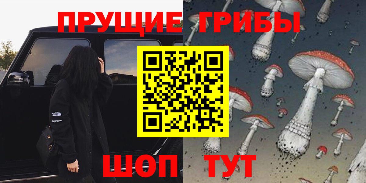 Галлюциногенные грибы Psilocybine cubensis  Вход с VPN  Искитим 